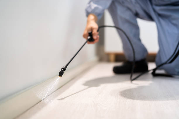 Bed Bug Pre-Treatment Preparation Assessment in South Gull Lake