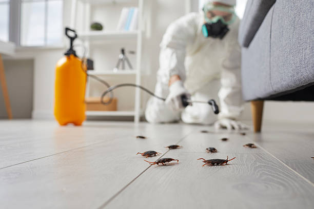 Post-Treatment Bed Bug Interceptor Monitoring in South Gull Lake
