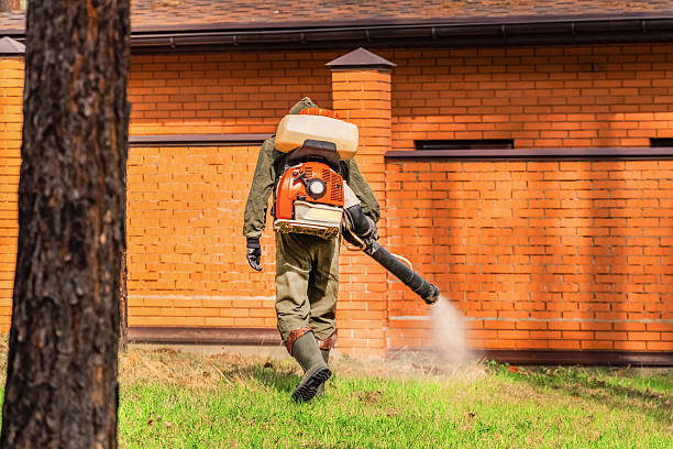 Bed Bug Clearance Verification and Documentation in South Gull Lake